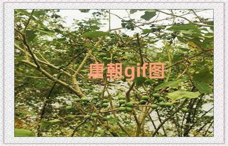 唐朝gif图