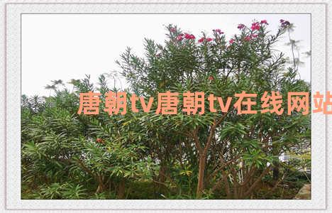 唐朝tv唐朝tv在线网站